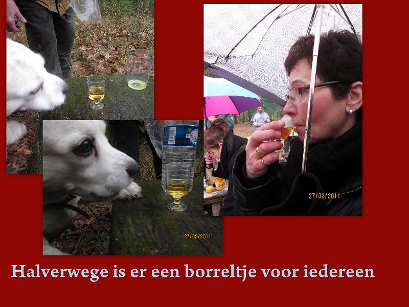 Winterwandeling-Kiewit (23).jpg